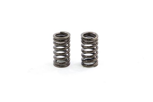 Mola De Válvula Kawasaki Versys 650 Versys650 15-18