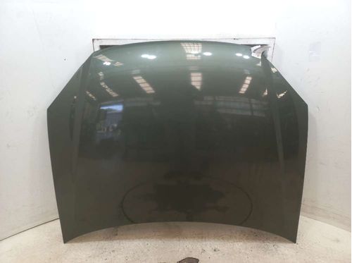CAPO FIAT PALIO 1.8 2012