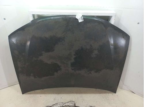 CAPO FIAT PALIO 1.0 2009