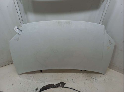 CAPO FIAT PALIO 1.0 2017