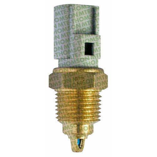 Cebolinha Temperatura ESCORT 1996/1996  - 47919 - 5032