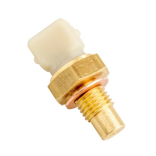 Cebolinha Temperatura R19 1994/1995  - 39908 - 4038