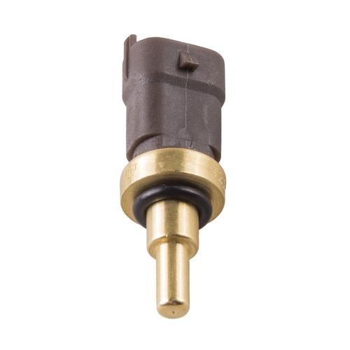 Cebolinha Temperatura PUNTO 2014/2017 - 39885 - 4217