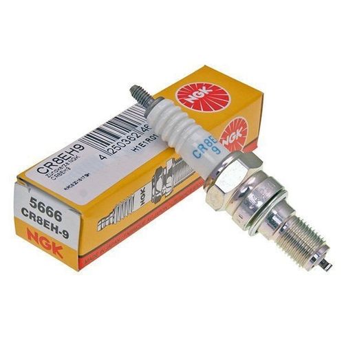 Vela de Ignição CR8EH-9
